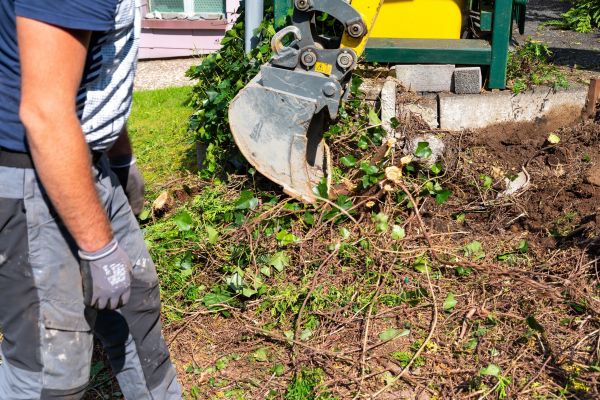 Hedge Removal Service in Manteca