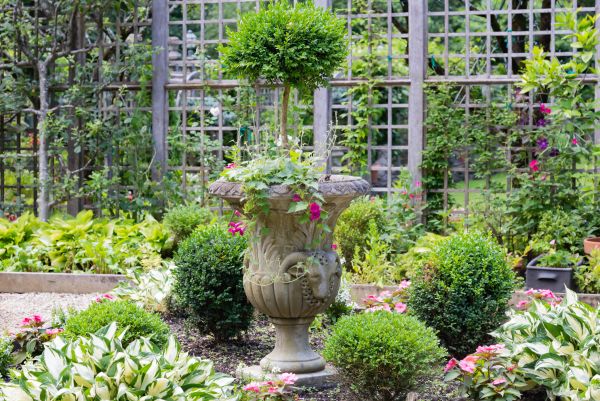 Topiary Pruning in Manteca