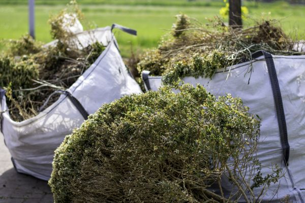 Shrubs Removal in Manteca
