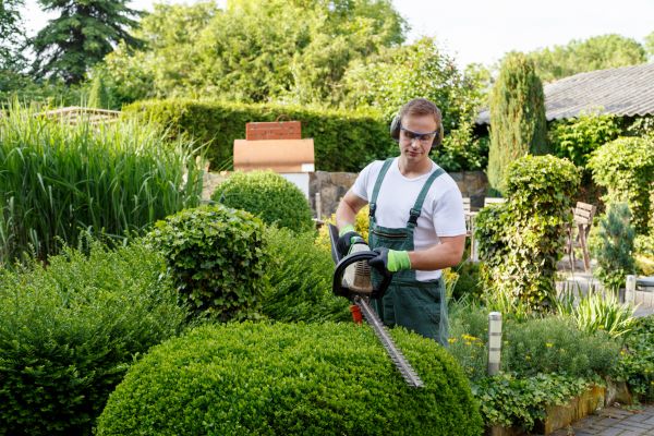 Shrubs Trimming in Manteca