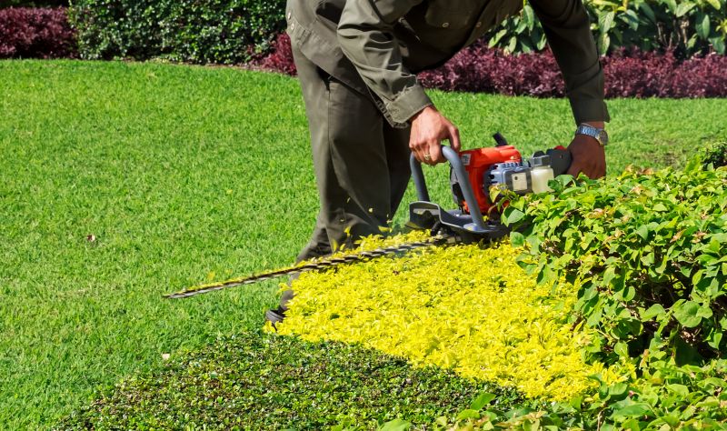 Trimming Large Bushes